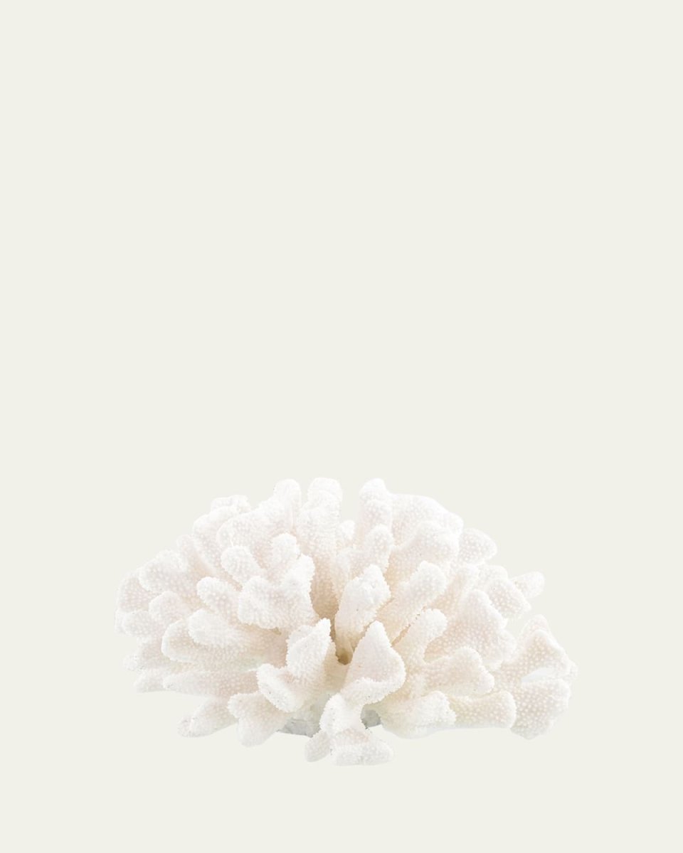Maldives Coral